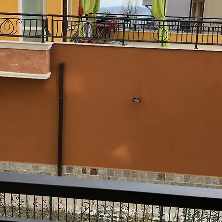 Zori - Sarafovo Sp * Burgas City